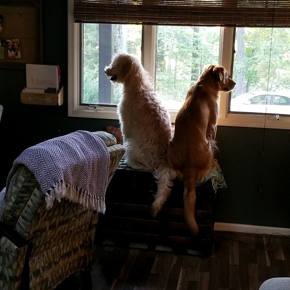 Meet your Posher, Jason - Picture 1 of 1